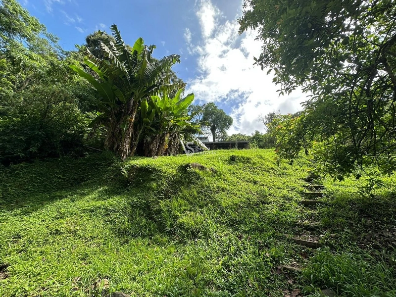 Sítio à venda em Três Coroas/RS!: 26ª foto da galeria de imagens do imóvel