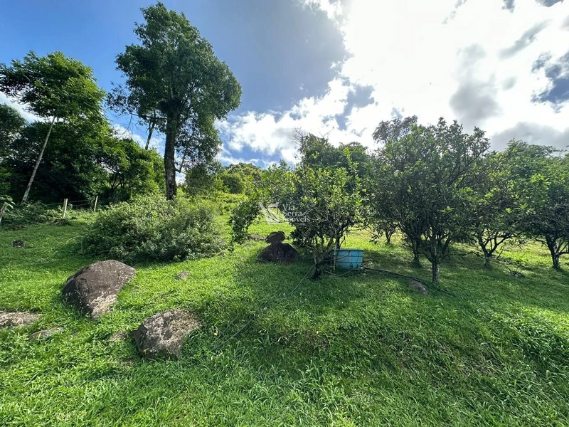 Sítio à venda em Três Coroas/RS!: 23ª foto da galeria de imagens do imóvel