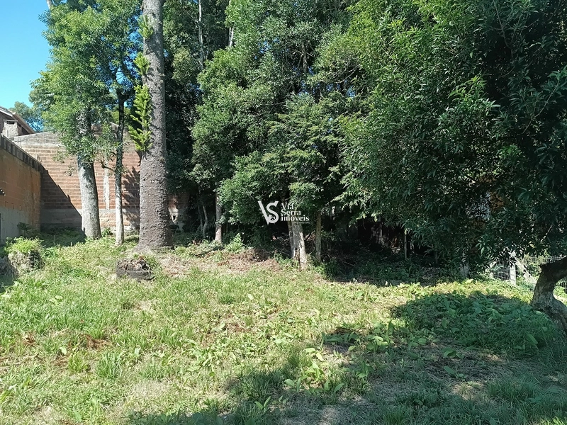 Terreno em Canela próximo ao Centro: 3ª foto da galeria de imagens do imóvel