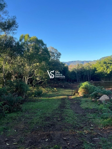 Àrea rural em Gramado: 3ª foto da galeria de imagens do imóvel