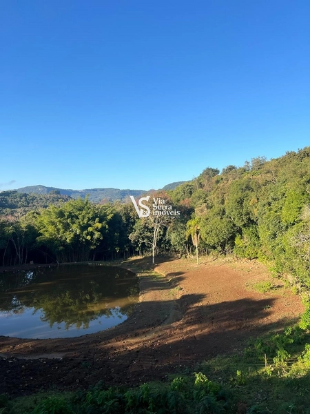 Àrea rural em Gramado: 5ª foto da galeria de imagens do imóvel
