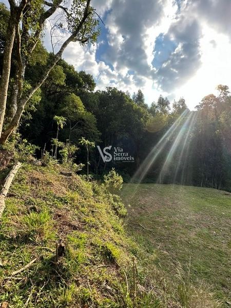 Sítio à venda, na Serra Grande, em Igrejinha/RS!: 2ª foto da galeria de imagens do imóvel