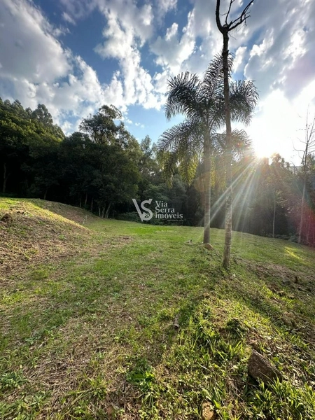 Sítio à venda, na Serra Grande, em Igrejinha/RS!: 10ª foto da galeria de imagens do imóvel