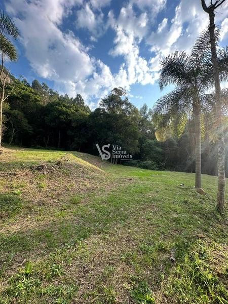 Sítio à venda, na Serra Grande, em Igrejinha/RS!: 15ª foto da galeria de imagens do imóvel