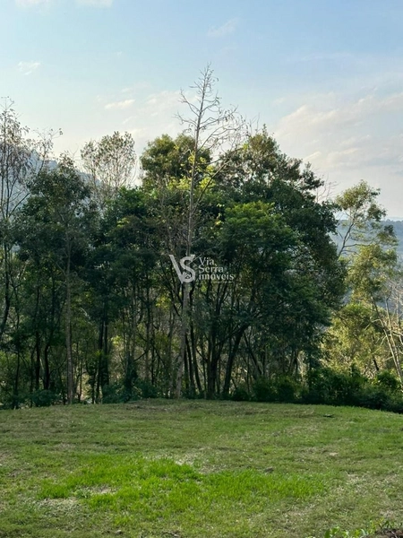 Sítio à venda, na Serra Grande, em Igrejinha/RS!: 11ª foto da galeria de imagens do imóvel