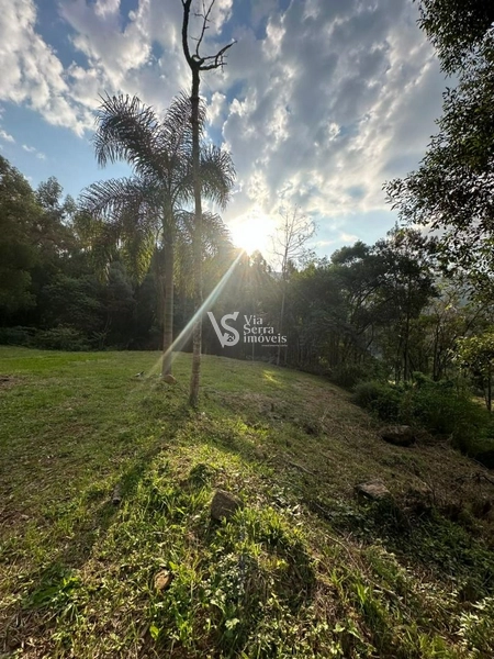 Sítio à venda, na Serra Grande, em Igrejinha/RS!: 8ª foto da galeria de imagens do imóvel