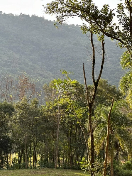 Sítio à venda, na Serra Grande, em Igrejinha/RS!: 16ª foto da galeria de imagens do imóvel