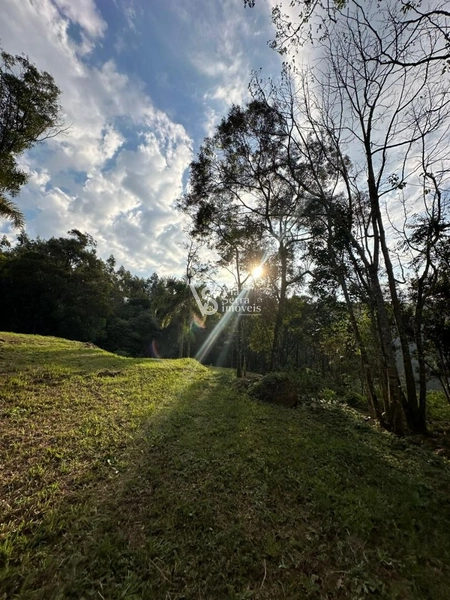 Sítio à venda, na Serra Grande, em Igrejinha/RS!: 3ª foto da galeria de imagens do imóvel