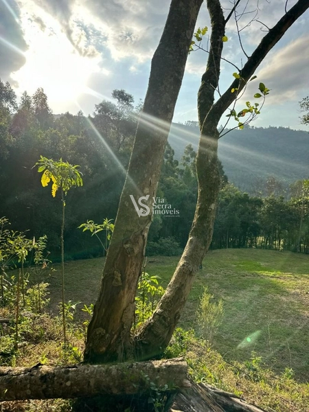 Sítio à venda, na Serra Grande, em Igrejinha/RS!: 4ª foto da galeria de imagens do imóvel