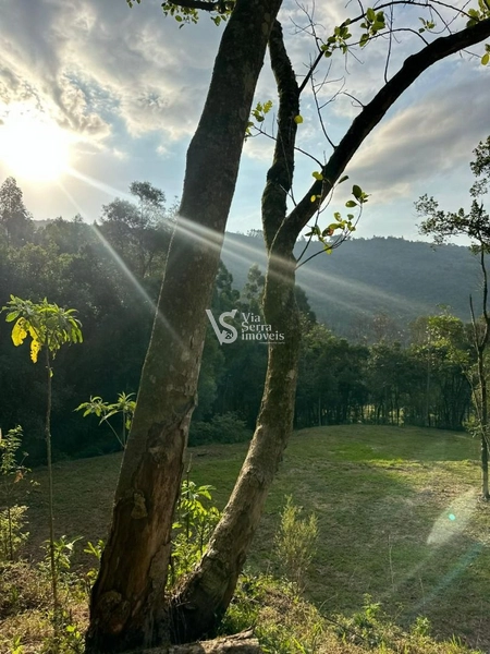 Sítio à venda, na Serra Grande, em Igrejinha/RS!: 13ª foto da galeria de imagens do imóvel