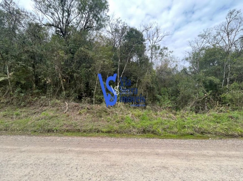 Sítio à venda, em Serra Grande, na cidade de Igrejinha/RS!: 7ª foto da galeria de imagens do imóvel