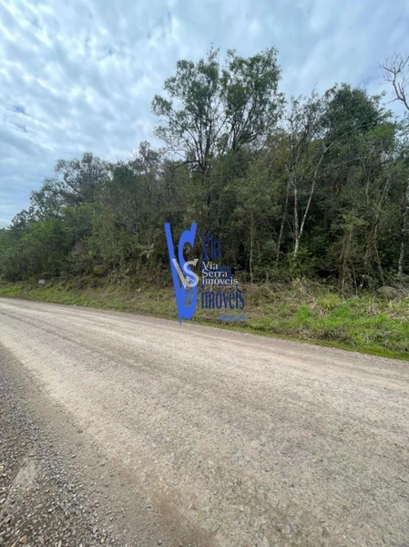 Sítio à venda, em Serra Grande, na cidade de Igrejinha/RS!: 9ª foto da galeria de imagens do imóvel