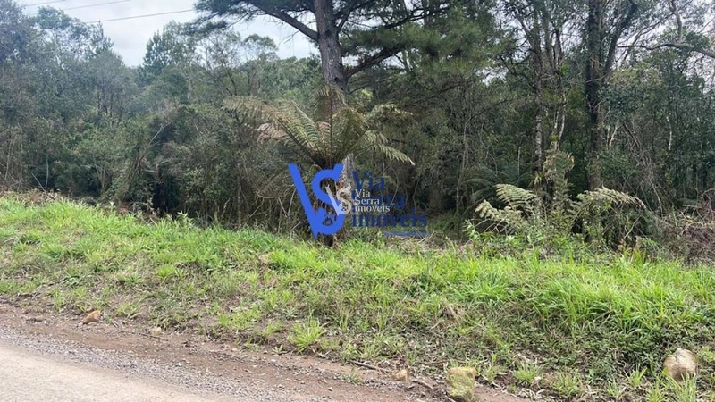 Sítio à venda, em Serra Grande, na cidade de Igrejinha/RS!: 1ª foto da galeria de imagens do imóvel