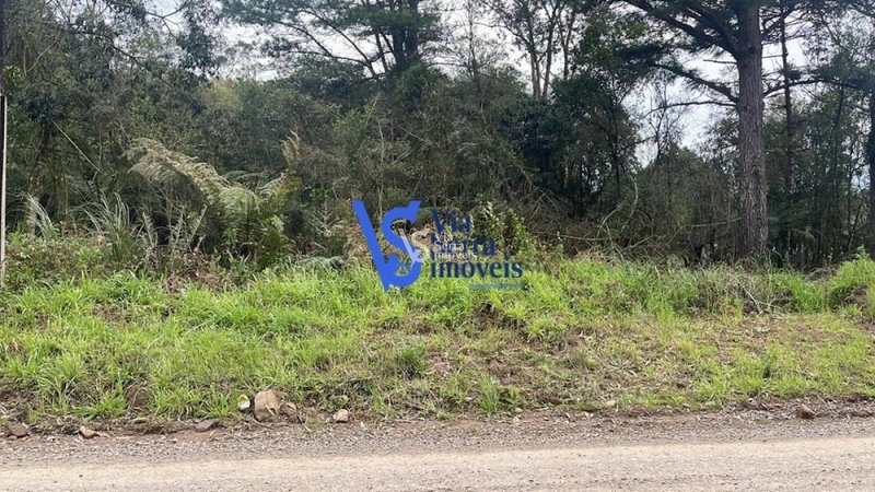Sítio à venda, em Serra Grande, na cidade de Igrejinha/RS!: 4ª foto da galeria de imagens do imóvel