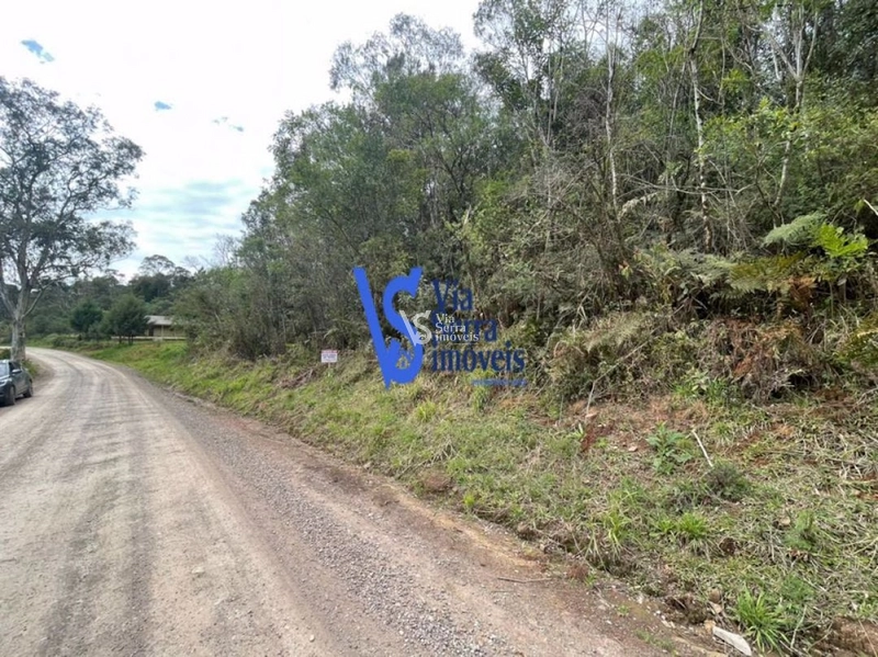 Sítio à venda, em Serra Grande, na cidade de Igrejinha/RS!: 5ª foto da galeria de imagens do imóvel