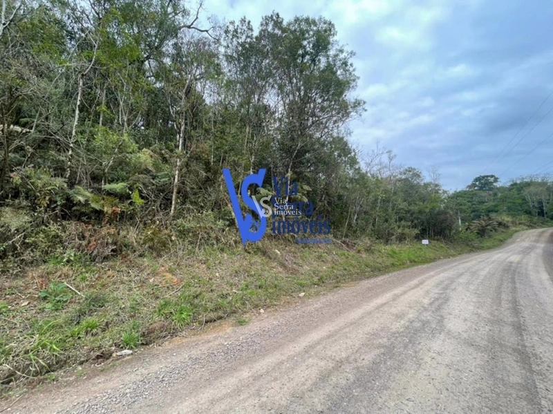 Sítio à venda, em Serra Grande, na cidade de Igrejinha/RS!: 8ª foto da galeria de imagens do imóvel