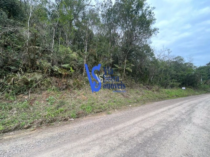 Sítio à venda, em Serra Grande, na cidade de Igrejinha/RS!: 11ª foto da galeria de imagens do imóvel