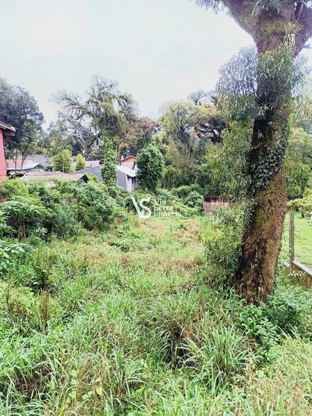 Terreno à venda no bairro Palace Hotel – Canela/RS: 5ª foto da galeria de imagens do imóvel