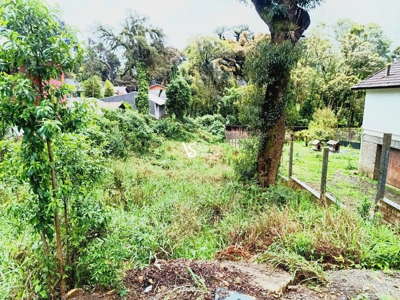 Terreno à venda no bairro Palace Hotel – Canela/RS: 3ª foto da galeria de imagens do imóvel