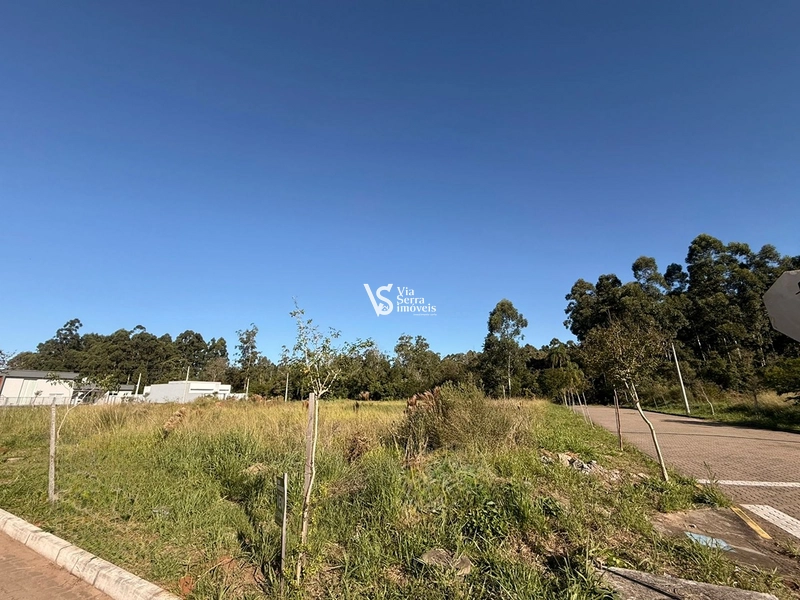 Amplo terreno no Alles Blau, Igrejinha/RS!: 6ª foto da galeria de imagens do imóvel
