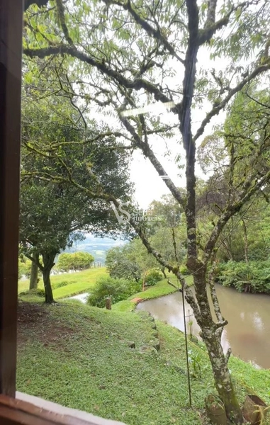 Sitio com 2.5 hectares de beleza natural na majestosa Serra Grande: 2ª foto da galeria de imagens do imóvel