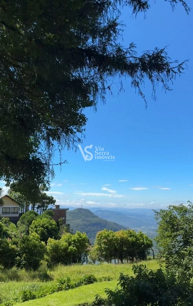 Sitio com 2.5 hectares de beleza natural na majestosa Serra Grande: 6ª foto da galeria de imagens do imóvel
