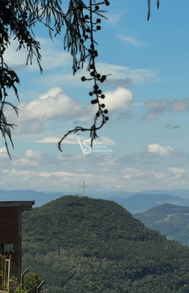 Sitio com 2.5 hectares de beleza natural na majestosa Serra Grande: 11ª foto da galeria de imagens do imóvel