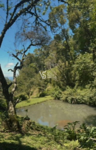 Sitio com 2.5 hectares de beleza natural na majestosa Serra Grande: 9ª foto da galeria de imagens do imóvel