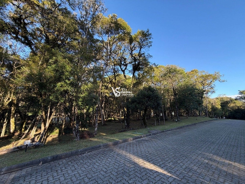 Excelente oportunidade para construir em Canela! : 3ª foto da galeria de imagens do imóvel