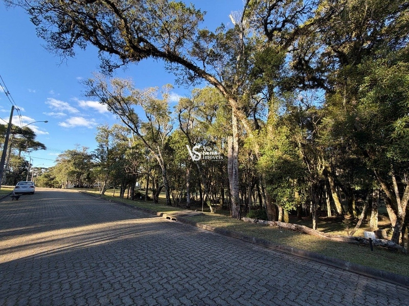 Excelente oportunidade para construir em Canela! : 4ª foto da galeria de imagens do imóvel