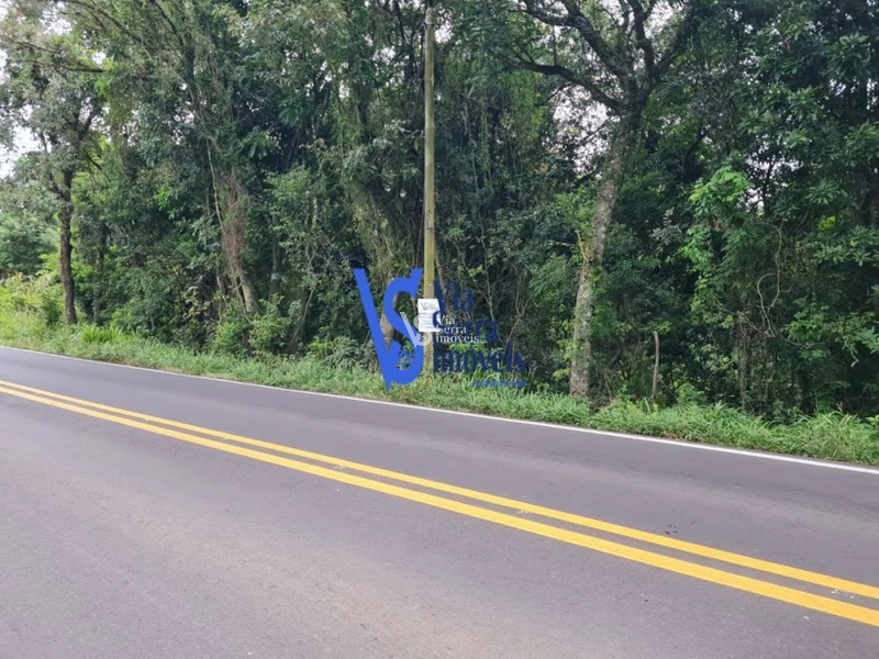 Sítio à venda, Lajeadinho em Igrejinha/RS: 5ª foto da galeria de imagens do imóvel