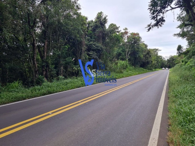 Sítio à venda, Lajeadinho em Igrejinha/RS: 3ª foto da galeria de imagens do imóvel