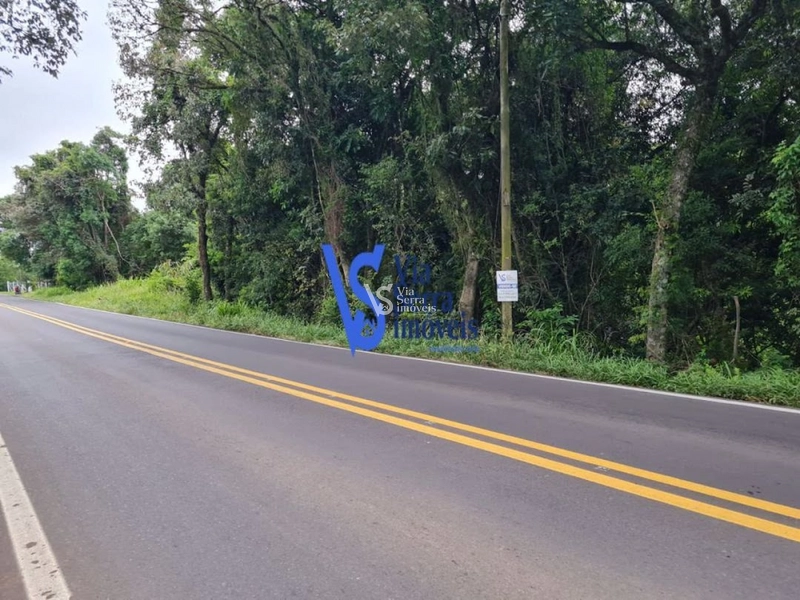 Sítio à venda, Lajeadinho em Igrejinha/RS: 4ª foto da galeria de imagens do imóvel