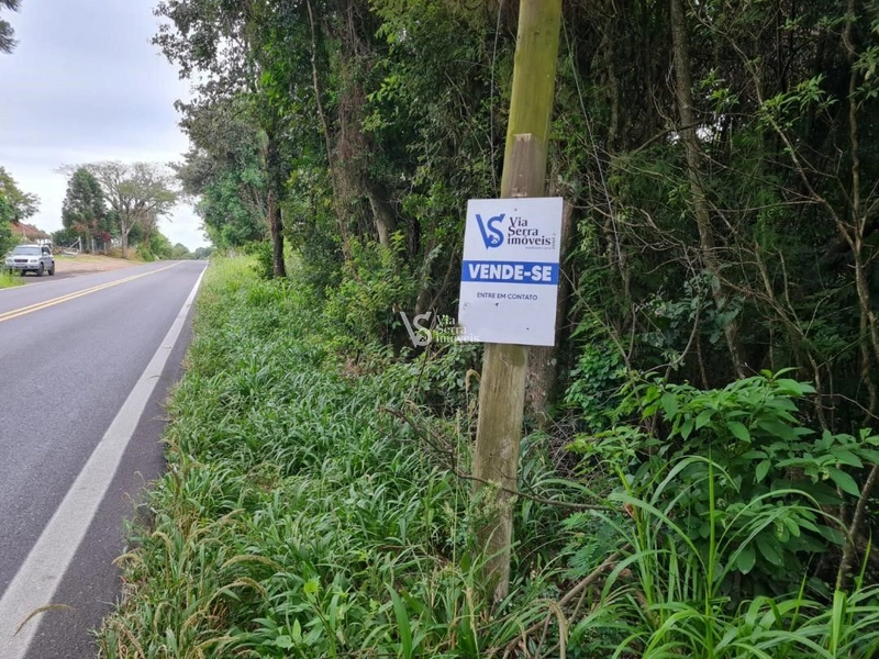 Sítio à venda, Lajeadinho em Igrejinha/RS: 1ª foto da galeria de imagens do imóvel