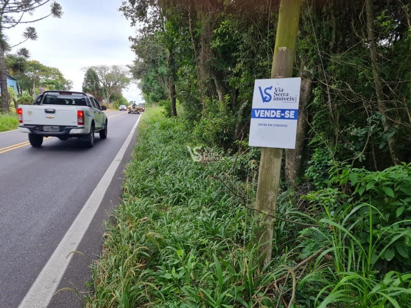 Sítio à venda, Lajeadinho em Igrejinha/RS: 6ª foto da galeria de imagens do imóvel