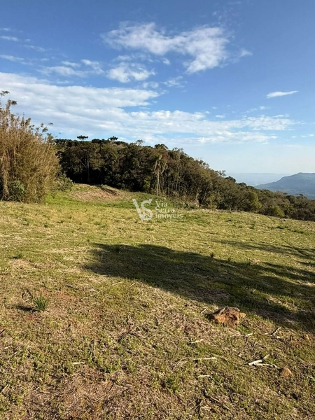 Área com vista, divisa de Santa Maria do Herval e Serra Grande!: 1ª foto da galeria de imagens do imóvel