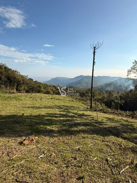 Área com vista, divisa de Santa Maria do Herval e Serra Grande!: 2ª foto da galeria de imagens do imóvel
