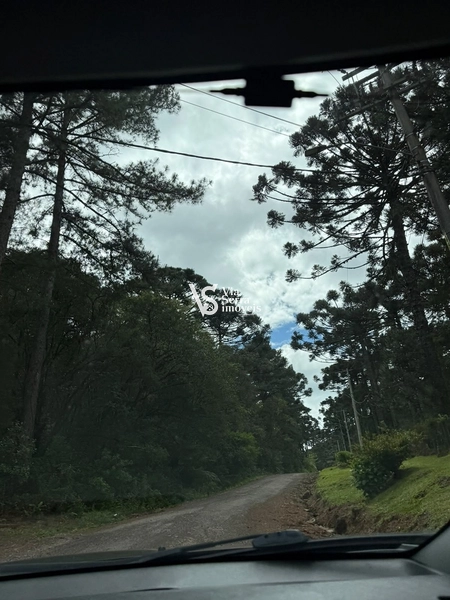 TERRENO À VENDA NO CARACOL – CANELA/RS: 1ª foto da galeria de imagens do imóvel