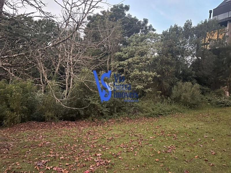 Terreno à venda, em Gramado/RS!: 11ª foto da galeria de imagens do imóvel