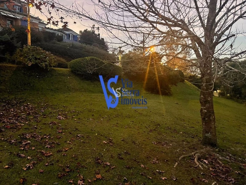 Terreno à venda, em Gramado/RS!: 6ª foto da galeria de imagens do imóvel