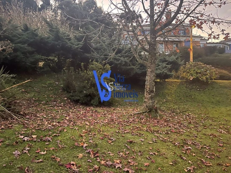 Terreno à venda, em Gramado/RS!: 3ª foto da galeria de imagens do imóvel