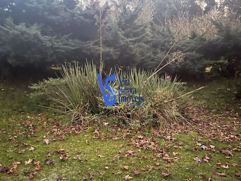 Terreno à venda, em Gramado/RS!: 9ª foto da galeria de imagens do imóvel