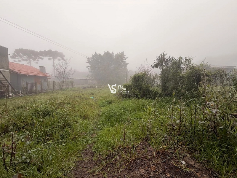 Terreno á Venda: 2ª foto da galeria de imagens do imóvel
