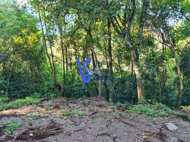 Sítio à venda, em Três Coroas/RS!: 1ª foto da galeria de imagens do imóvel