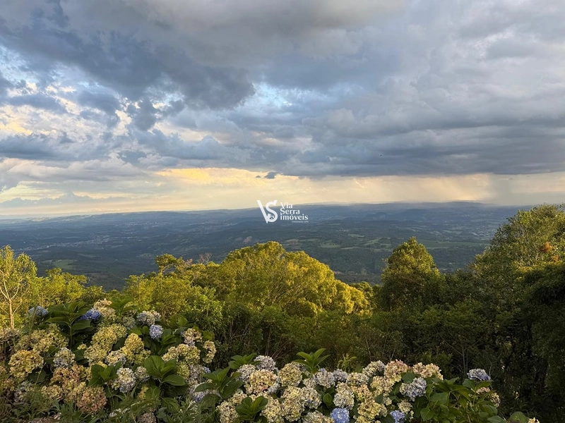 Terreno á venda em Serra Grande -Igrejinha/RS: 1ª foto da galeria de imagens do imóvel