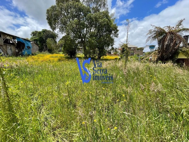 Terreno em permuta, a poucos metros da Catedral de Pedra, em Canela/RS!: 26ª foto da galeria de imagens do imóvel