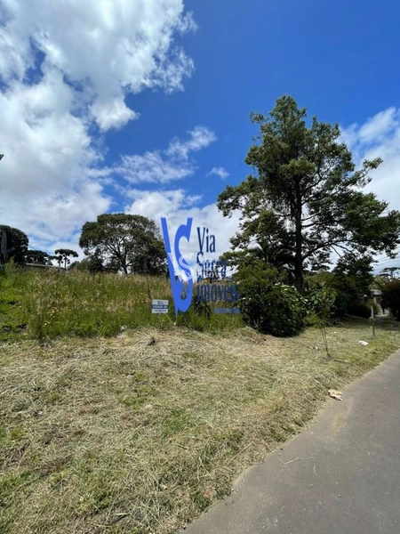 Terreno em permuta, a poucos metros da Catedral de Pedra, em Canela/RS!: 27ª foto da galeria de imagens do imóvel