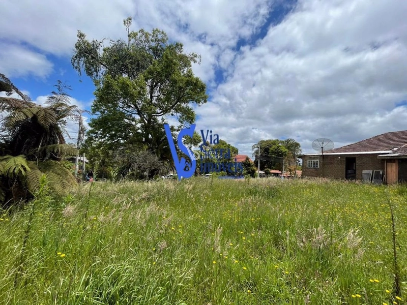 Terreno em permuta, a poucos metros da Catedral de Pedra, em Canela/RS!: 21ª foto da galeria de imagens do imóvel
