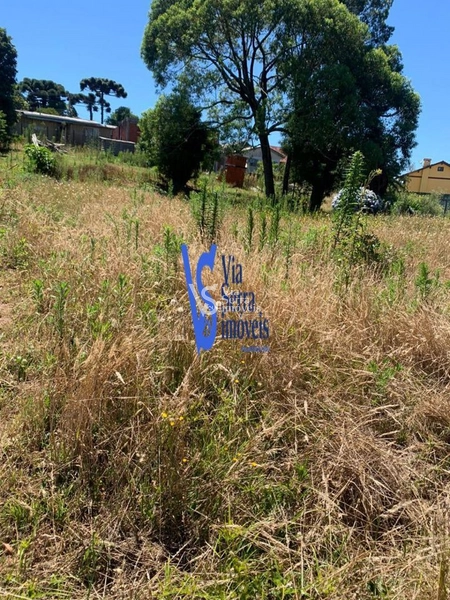 Terreno em permuta, a poucos metros da Catedral de Pedra, em Canela/RS!: 20ª foto da galeria de imagens do imóvel