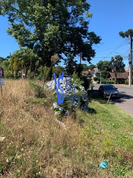 Terreno em permuta, a poucos metros da Catedral de Pedra, em Canela/RS!: 25ª foto da galeria de imagens do imóvel